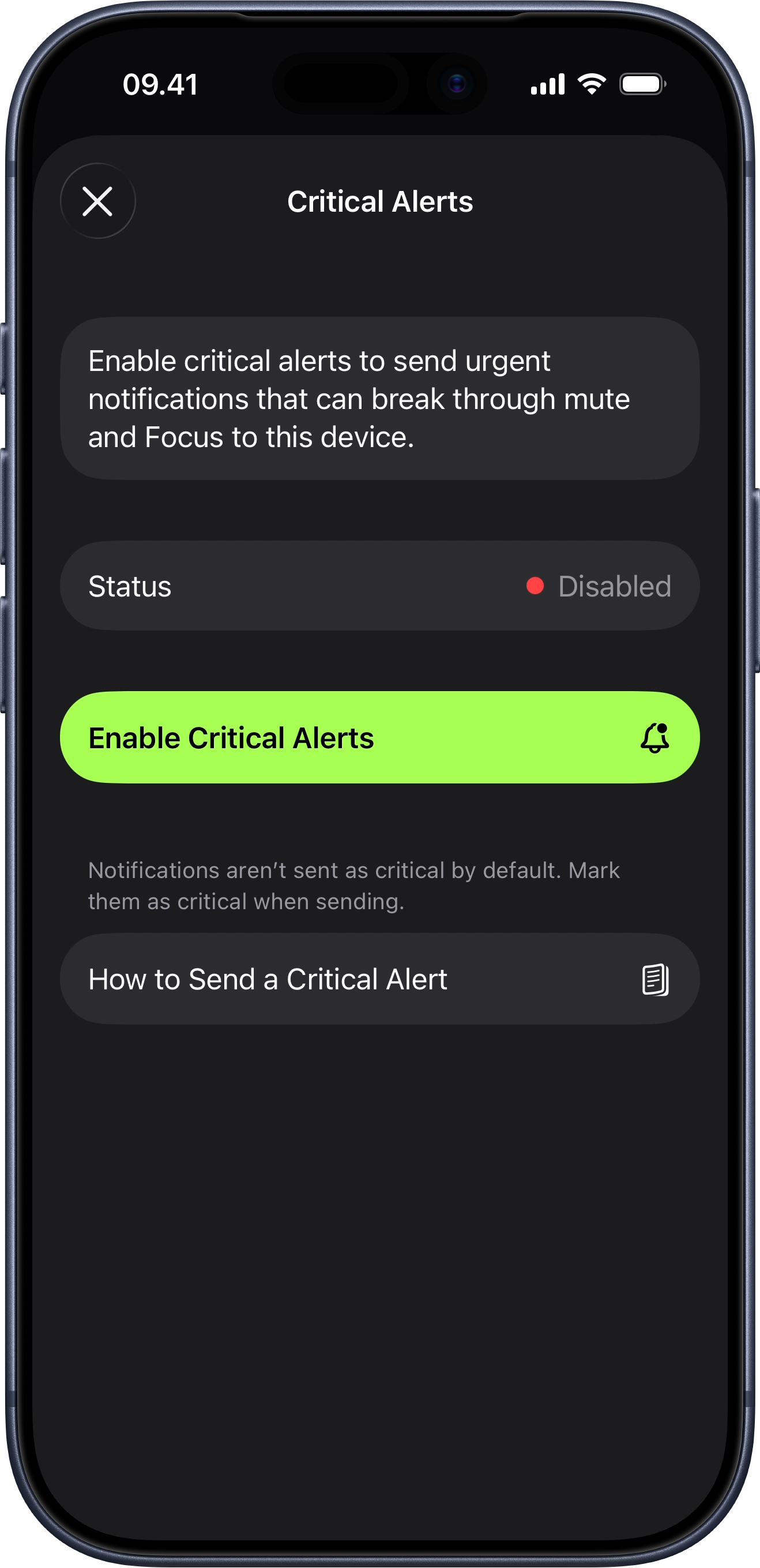 brrr critical alerts screen with the Enable Critical Alerts button